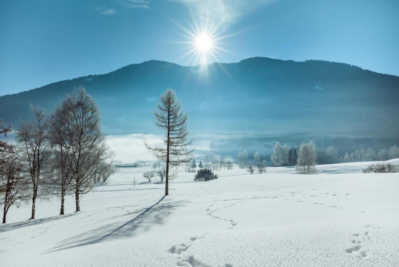 Imlauer Hotel Schloss Pichlarn Айген-ім-Енсталь Екстер'єр фото Winter in Japan