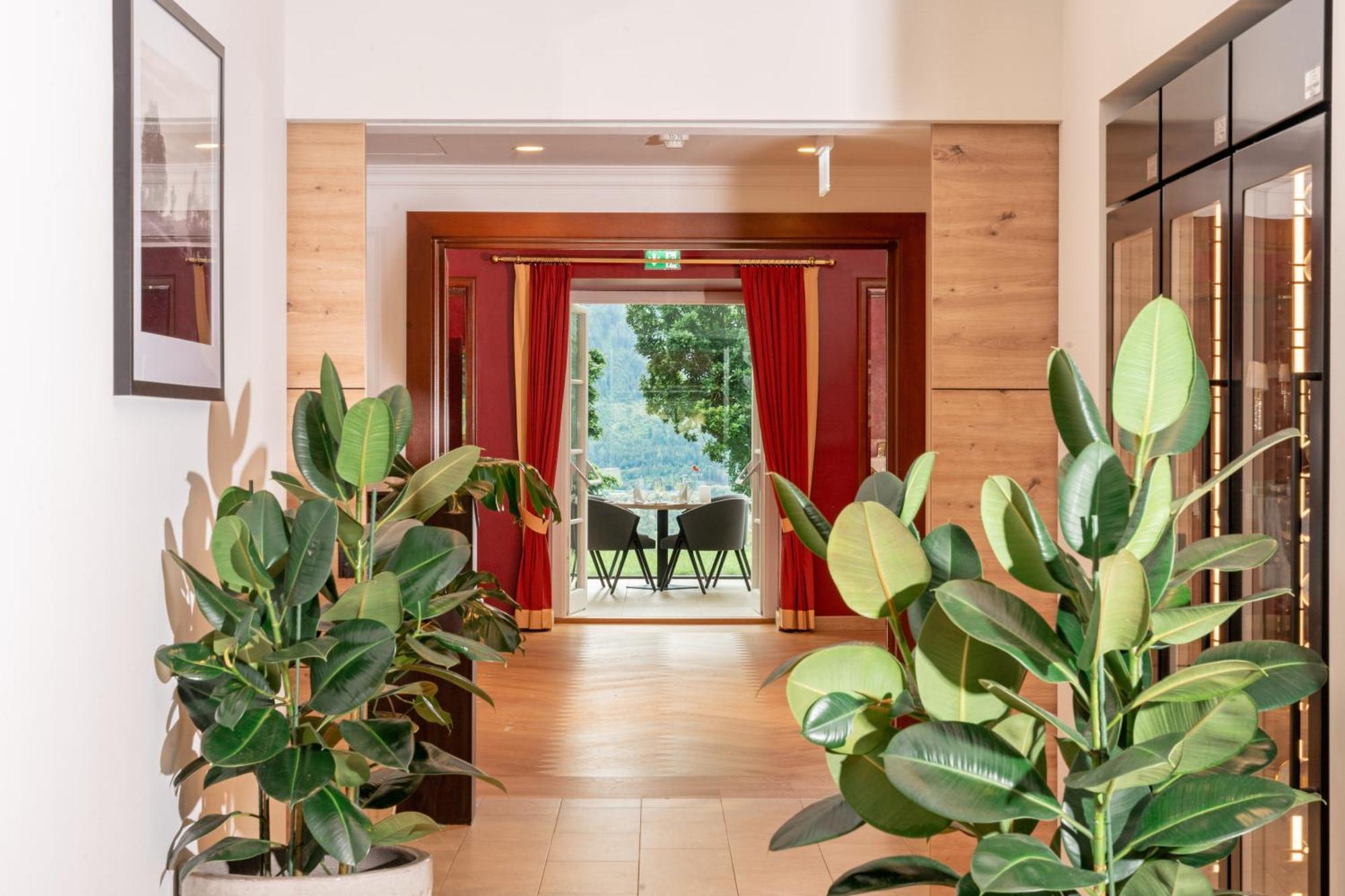 Imlauer Hotel Schloss Pichlarn Айген-ім-Енсталь Екстер'єр фото Ficus elastica in a hotel